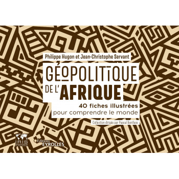 Géopolitique de l’Afrique